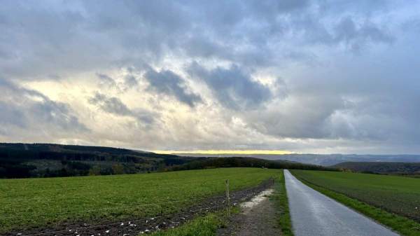 Neues Bild