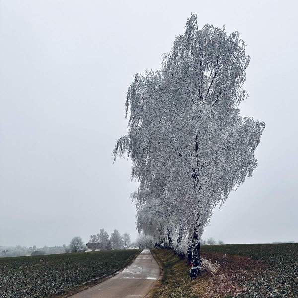 Neues Bild