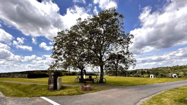 Neues Bild