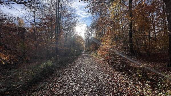 Neues Bild