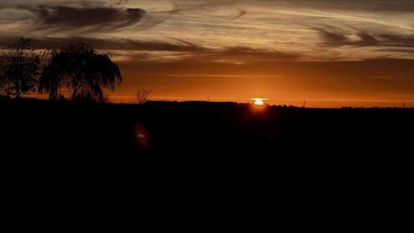 Neues Bild
