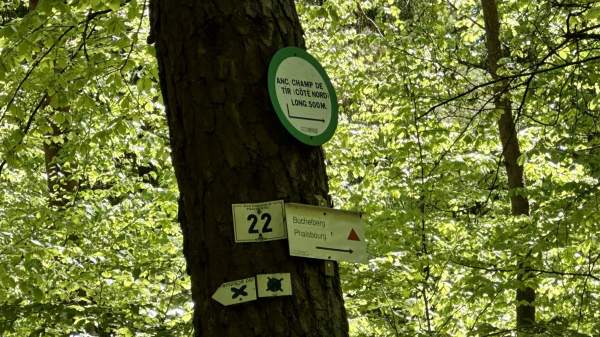Neues Bild