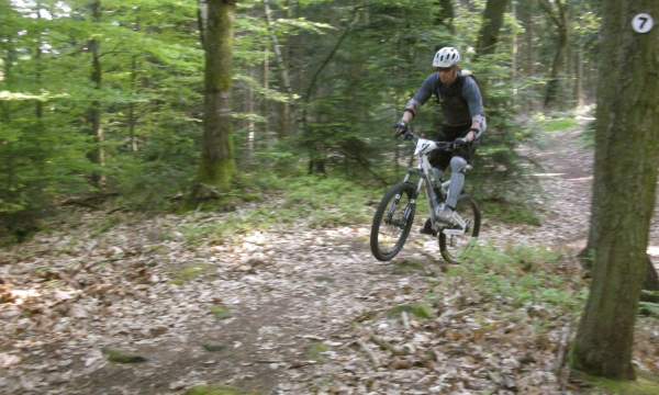 Neues Bild