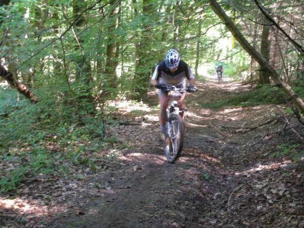 Neues Bild