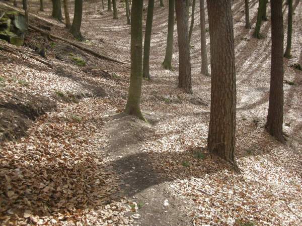 Neues Bild