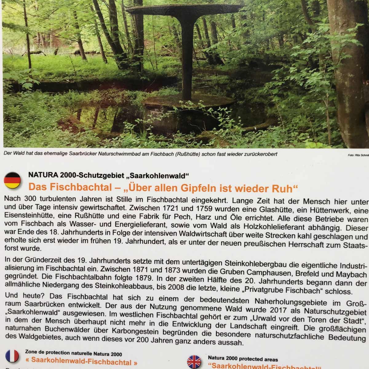 Pilzsuche, ehemaliges Naturbad Saarbücken